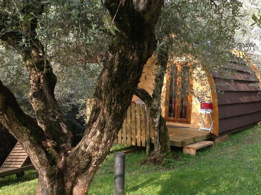 Igloo Garden Lake سويانو ديل لاغو المظهر الخارجي الصورة